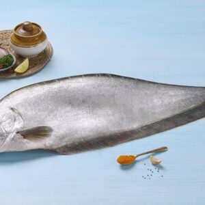 Chitol Small-  Bengali Cut